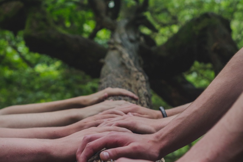 hands on a tree