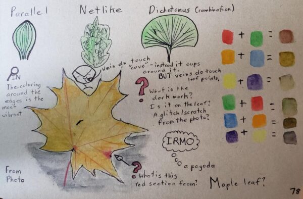 Images of fall foliage in a sketchbook, part of a Well-Trained Mind Academy club activity.